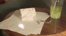 Megan Bruinen - Soft Lock - June 2024